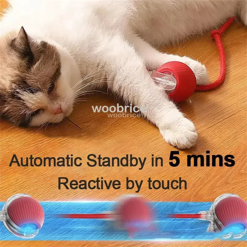 Bola interativa brinquedo bola de rolamento automático falso cauda recarregável inteligente animal de estimação brinquedo elétrico cão gato treinamento imitar mouse
