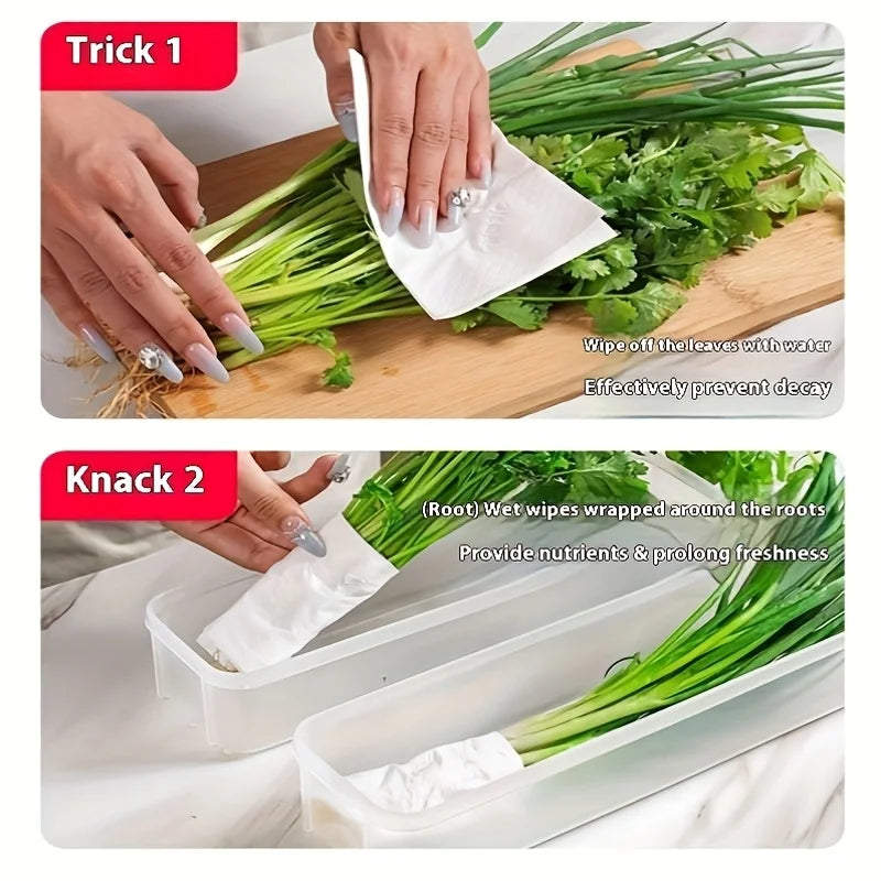 Caixas organizadoras para geladeira, vegetais, frutas, conservação de alimentos frescos, transparente, caixa de armazenamento selada