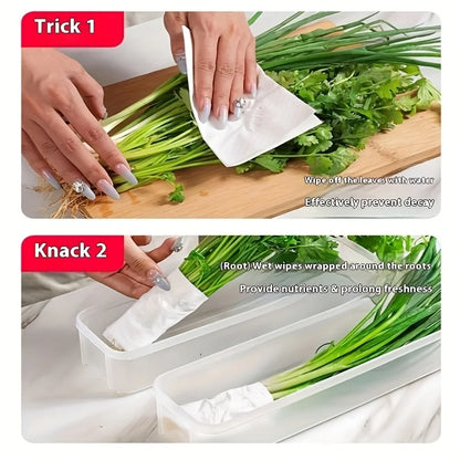 Caixas organizadoras para geladeira, vegetais, frutas, conservação de alimentos frescos, transparente, caixa de armazenamento selada